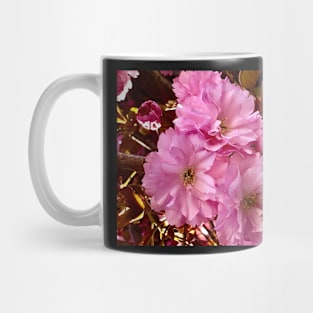 Pink Blossoms Mug